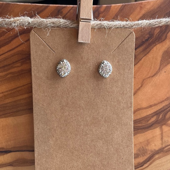 Jewelry - Dazzling Crystal Silver Earrings